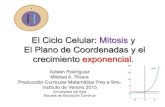 El Ciclo Celular: Mitosis y El Plano de Coordenadas y el crecimiento ...