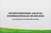 interconexiones gasistas internacionales en bolivia (gasoductos de ...