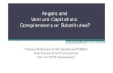 Angels and Venture Capitalists: Complements or Substitutes?