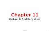 Chapter 21 Carboxylic Acid Derivatives - Seattle Central
