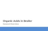 Organic acids in broilers