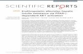 Erythropoietin alleviates hepatic insulin resistance via PPARγ ...
