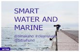Tiina Kähö: Smart Water and Marine
