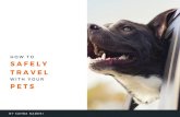 How to Safely Travel with Your Pets