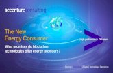 The New Energy Consumer: What Promises Do Blockchain Technologies Offer Energy Providers?