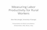 Measuring Labor Productivity for Rural Workers (Ellen McCullough, Uni Georgia)