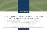 Lawyer in Vietnam Oliver Massmann Flat World Opportunities for Vietnamese Enterprises
