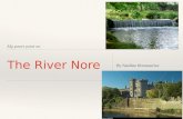 The River Nore by Nadine