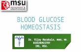 Blood glucose homeostasis