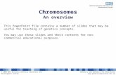 Explanation slides - Chromosomes