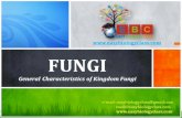 Fungi PPT (General Characteristics) by Easybiologyclass