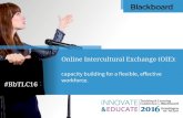 Online Intercultural Exchange: capacity building for a flexible, effective workforce.