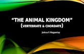 The animal kingdom (undone)