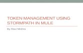 Token Management using Stormpath inside Mule