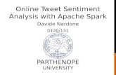 Online Tweet Sentiment Analysis with Apache Spark