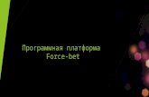 Программная платформа Force-bet