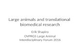 Large Animals and Translational BioMedical Research
