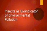 Insects as bioindicator of environmental pollution