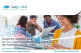 Capgemini Insights and Data
