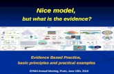 Nice Model, But What Is The Evidence?