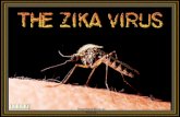 The Zika Virus