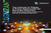 The Internet of Things: A Prime Opportunity for Merchant Acquirers
