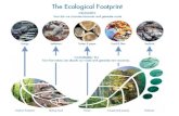 Bio112 ecological footprint
