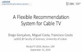 A Flexible Recommendation System for Cable TV