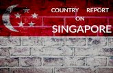 Country Report on Singapore