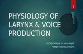 Physiology of larynx& theories of voice production(dr.ravindra daggupati)