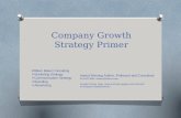 A Brief Primer in Growth Strategy