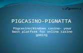 Pigcasino|Windows casino- your best platform for online casino gaming