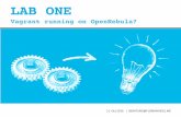 OpenNebulaConf 2016 - LAB ONE - Vagrant running on OpenNebula? by Florian Heigl