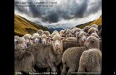 2016 National Geographic Travel Photographer of the Year (6)
