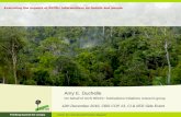 Evaluating the impacts of REDD+ interventions on forests and people