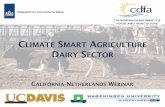 California Presentations for Climate-Smart Dairy Webinar