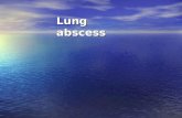 8 lung abscess