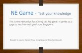 Ne game   test your knowledge
