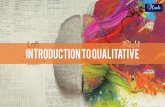 Qualitative Research - Introduction