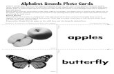 Alphabet Photo Cards - lakeshorelearning.com