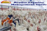 Broiler Farming Management Guide