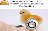 Poultry Diseases  Cause, Diagnosis, Control & Treatment