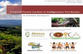 Tropical forest carbon in indigenous territories: a global analysis