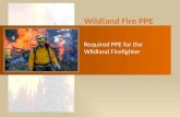 Wildland Fire PPE