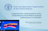 Supporting the implementation of the Comprehensive Rural Reform towards building peace in Colombia