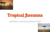 Tropical savanna PERIOD 4