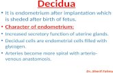 Decidua & Chorionic Velli (General Embryology)