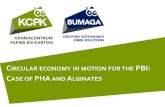 Circular Economy in motion for the Paper Industry: cases of alginates and PHA