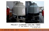 Project Cleaning Cooling Tower