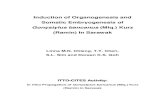Induction of Organogenesis and Somatic Embryogenesis of ...